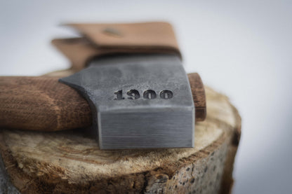 1900 BLACKHAWK - BLUE TAIL.