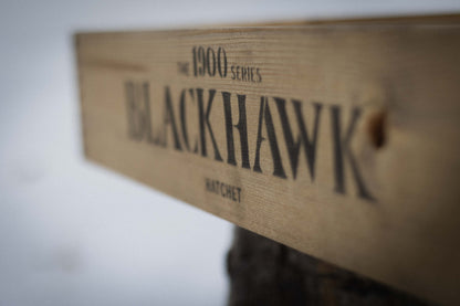 1900 BLACKHAWK - BLUE TAIL.