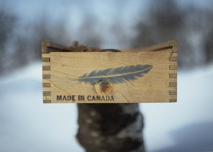 1900 BLACKHAWK - BLUE TAIL.