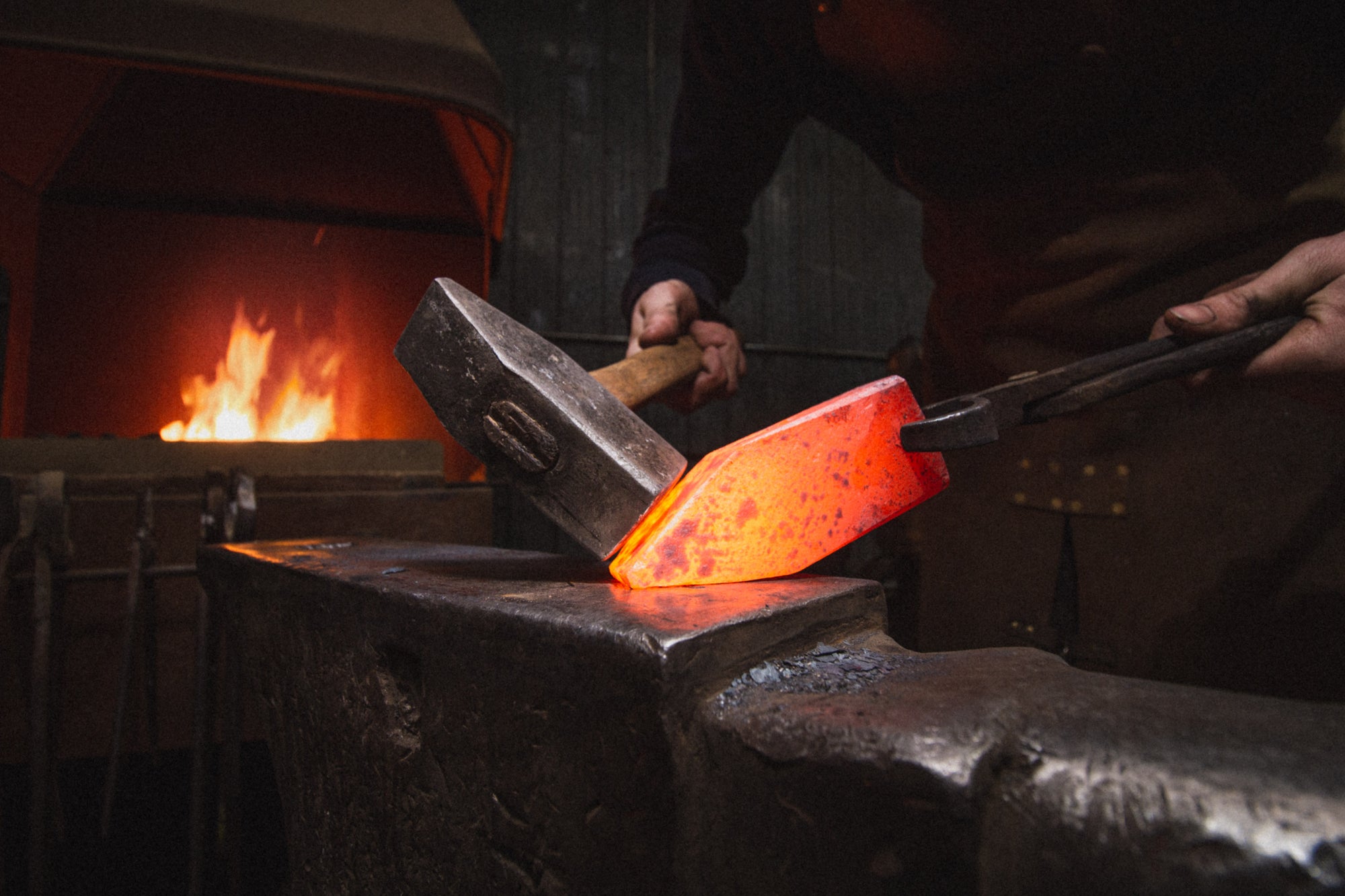 Timothy Dyck TIMOTHY DYCK